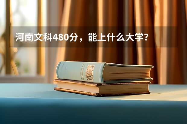 河南文科480分，能上什么大学？