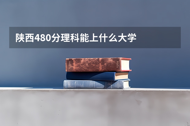 陕西480分理科能上什么大学