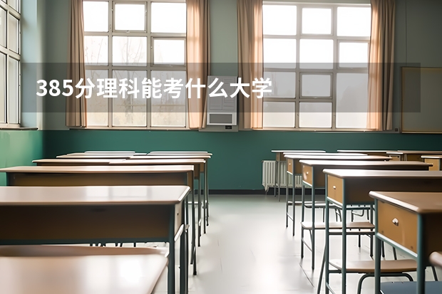 385分理科能考什么大学