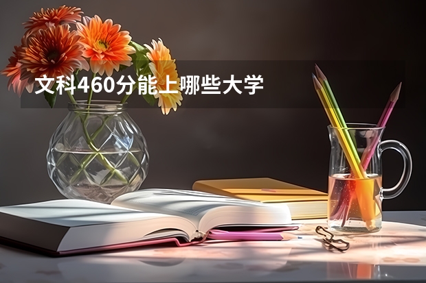 文科460分能上哪些大学